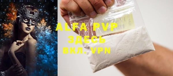 индика Абаза