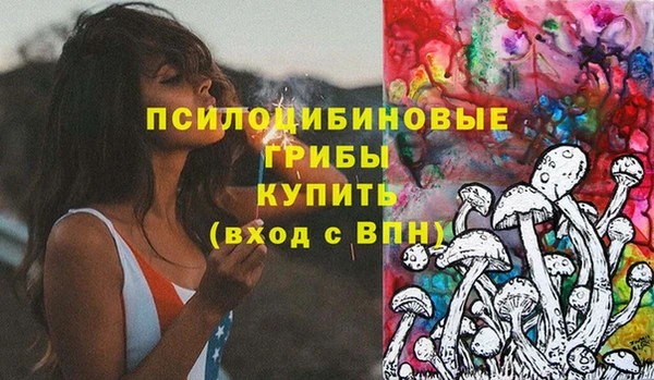 прущая мука Алзамай