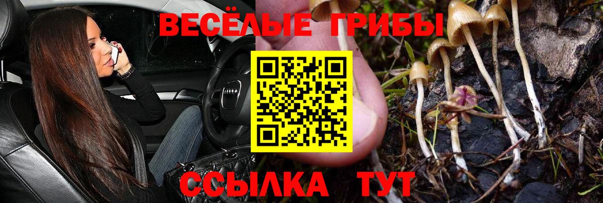 Псилоцибиновые грибы мицелий  Вход с VPN  Искитим 